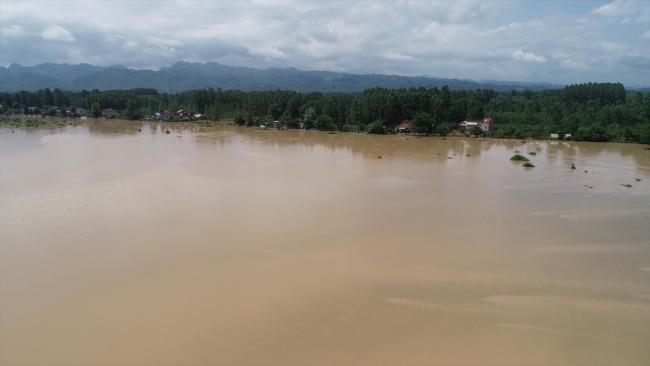 Samsun'da sağanak ev ve tarım arazilerini su altında bıraktı
